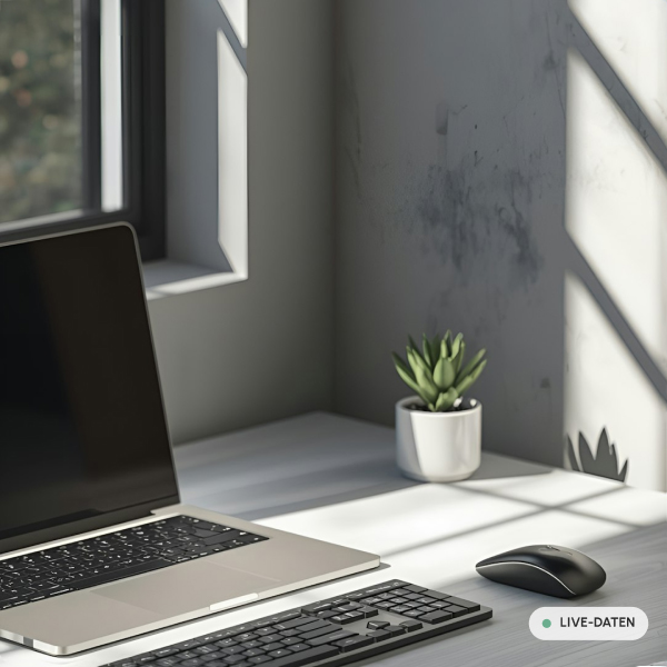 Workspace mit Laptop und Pflanze